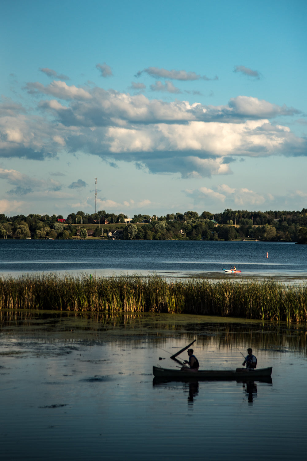 People canoeing in Sydenham, ON - South Frontenac