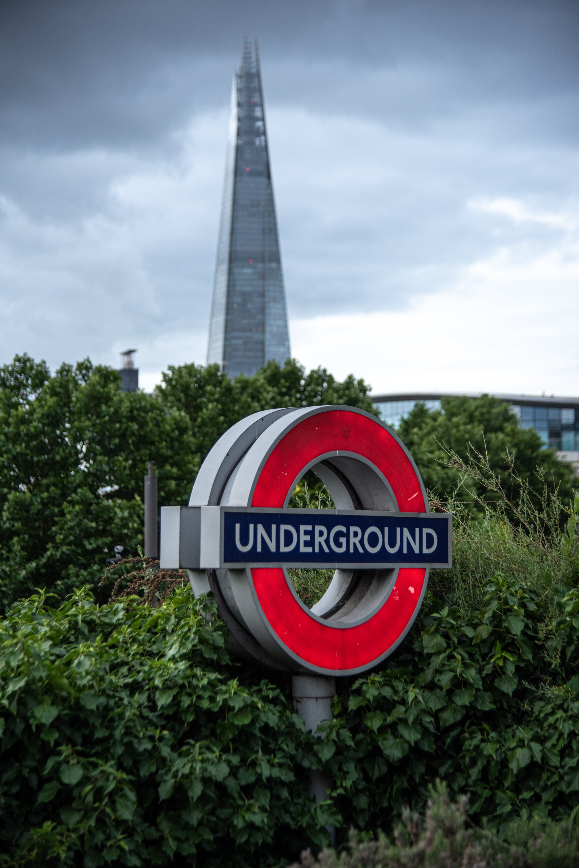 A London Underground sign surrounded by shrubs outside the station